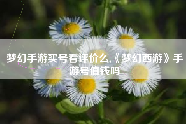 梦幻手游买号看评价么,《梦幻西游》手游号值钱吗