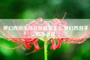 梦幻西游手游元辰能封主么,梦幻西游手游怎么样