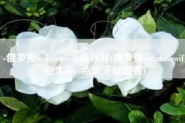 -俄罗斯vodafonewifi仙踪林(俄罗斯vodafonewifi巨大app-点此下载观看)