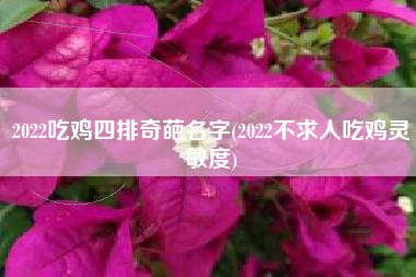2022吃鸡四排奇葩名字(2022不求人吃鸡灵敏度)