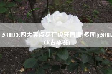 2018LCK四大亮点尽在虎牙直播[多图](2018LCK春季赛)