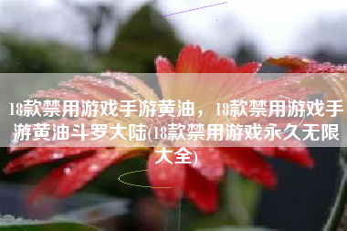 18款禁用游戏手游黄油，18款禁用游戏手游黄油斗罗大陆(18款禁用游戏永久无限大全)