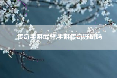 传奇手游武尊,手游传奇好玩吗