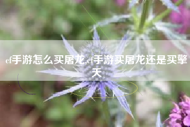 cf手游怎么买屠龙,cf手游买屠龙还是买擎天