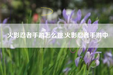 火影忍者手游怎么跳,火影忍者手游中