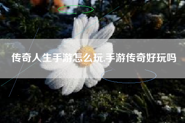 传奇人生手游怎么玩,手游传奇好玩吗