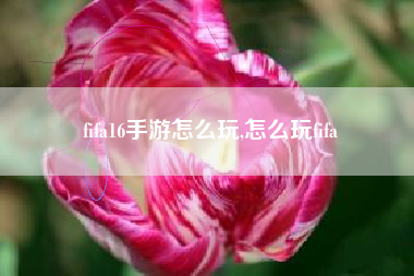 fifa16手游怎么玩,怎么玩fifa