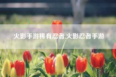 火影手游稀有忍者,火影忍者手游