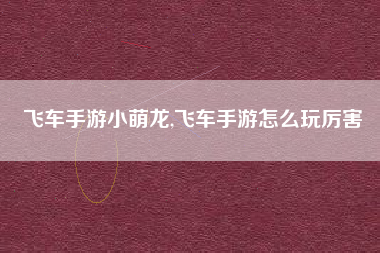 飞车手游小萌龙,飞车手游怎么玩厉害