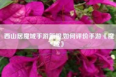西山居魔域手游新服,如何评价手游《魔域》