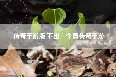 传奇手游版,不出一个真传奇手游