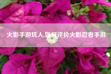火影手游坑人,如何评价火影忍者手游