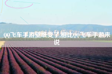 QQ飞车手游壁纸变了,相比QQ飞车手游来说