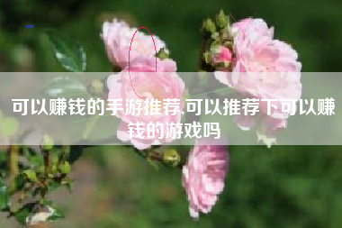 可以赚钱的手游推荐,可以推荐下可以赚钱的游戏吗