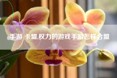 手游 卡盟,权力的游戏手游怎样合盟