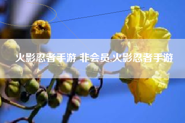火影忍者手游 非会员,火影忍者手游