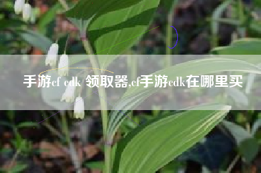 手游cf cdk 领取器,cf手游cdk在哪里买