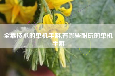 全靠技术的单机手游,有哪些耐玩的单机手游
