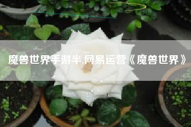 魔兽世界手游半,网易运营《魔兽世界》