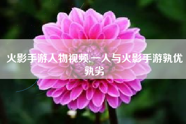 火影手游人物视频,一人与火影手游孰优孰劣