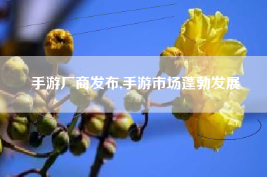 手游厂商发布,手游市场蓬勃发展
