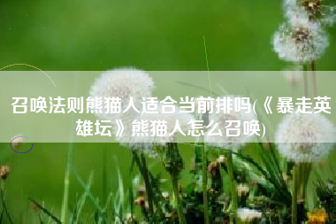 召唤法则熊猫人适合当前排吗(《暴走英雄坛》熊猫人怎么召唤)