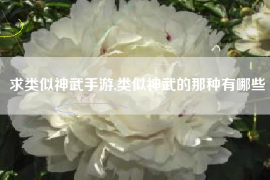 求类似神武手游,类似神武的那种有哪些