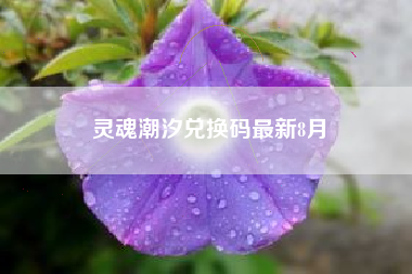 灵魂潮汐兑换码最新8月