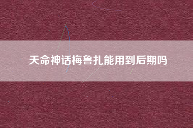 天命神话梅鲁扎能用到后期吗