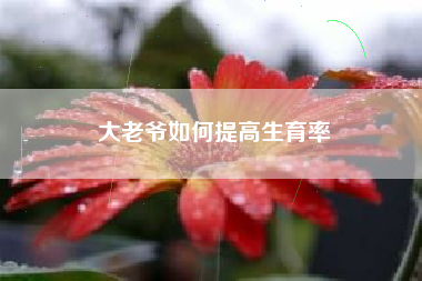 大老爷如何提高生育率