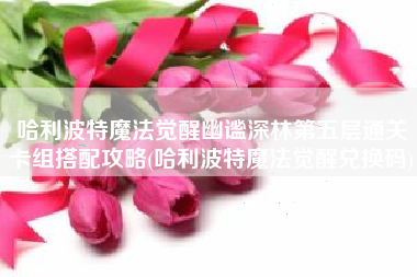 哈利波特魔法觉醒幽谧深林第五层通关卡组搭配攻略(哈利波特魔法觉醒兑换码)