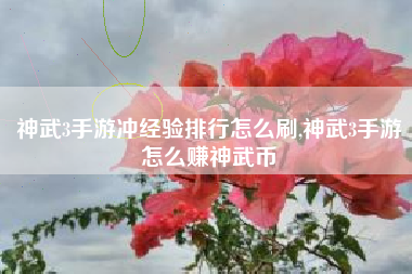 神武3手游冲经验排行怎么刷,神武3手游怎么赚神武币