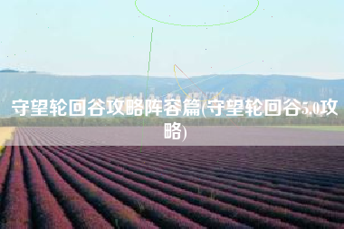 守望轮回谷攻略阵容篇(守望轮回谷5.0攻略)