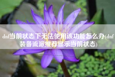 dnf当前状态下无法使用该功能怎么办(dnf装备流派推荐显示当前状态)