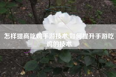 怎样提高吃鸡手游技术,如何提升手游吃鸡的技术