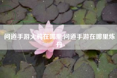问道手游火鸦在哪里,问道手游在哪里炼丹