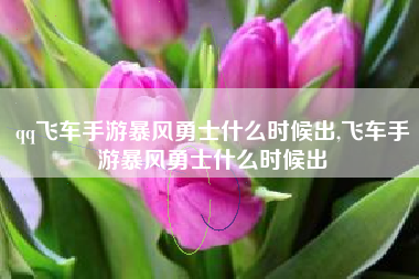qq飞车手游暴风勇士什么时候出,飞车手游暴风勇士什么时候出