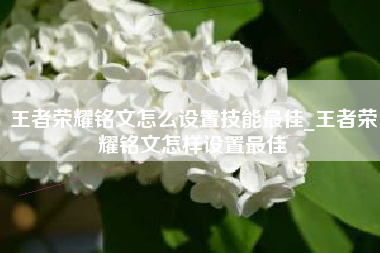 王者荣耀铭文怎么设置技能最佳_王者荣耀铭文怎样设置最佳