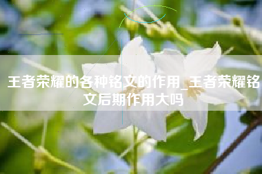 王者荣耀的各种铭文的作用_王者荣耀铭文后期作用大吗