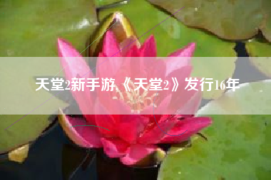 天堂2新手游,《天堂2》发行16年