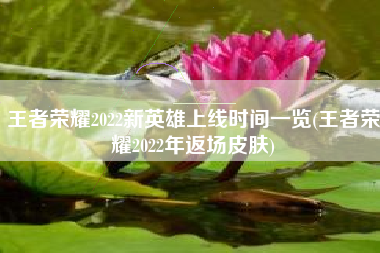王者荣耀2022新英雄上线时间一览(王者荣耀2022年返场皮肤)