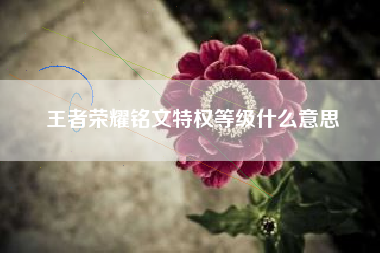 王者荣耀铭文特权等级什么意思
