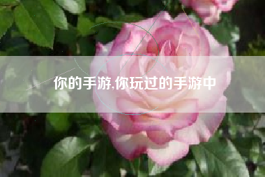 你的手游,你玩过的手游中