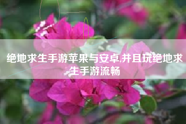 绝地求生手游苹果与安卓,并且玩绝地求生手游流畅
