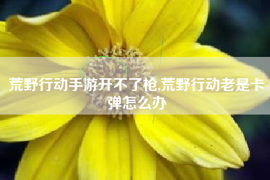 荒野行动手游开不了枪,荒野行动老是卡弹怎么办