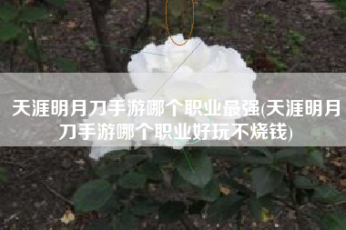 天涯明月刀手游哪个职业最强(天涯明月刀手游哪个职业好玩不烧钱)