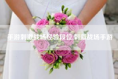 手游刺激战场经验段位,刺激战场手游