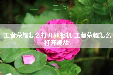 王者荣耀怎么打开AR相机(王者荣耀怎么打开观战)