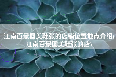 江南百景图美鞋张的店铺位置地点介绍(江南百景图美鞋张的店)