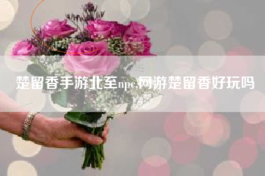 楚留香手游北至npc,网游楚留香好玩吗